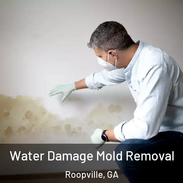 Water Damage Mold Removal Roopville, GA