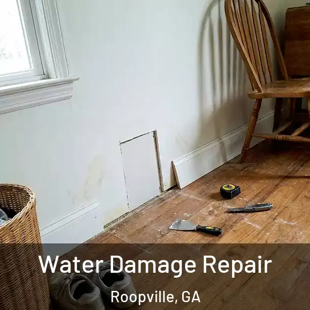  Water Damage Repair Roopville, GA