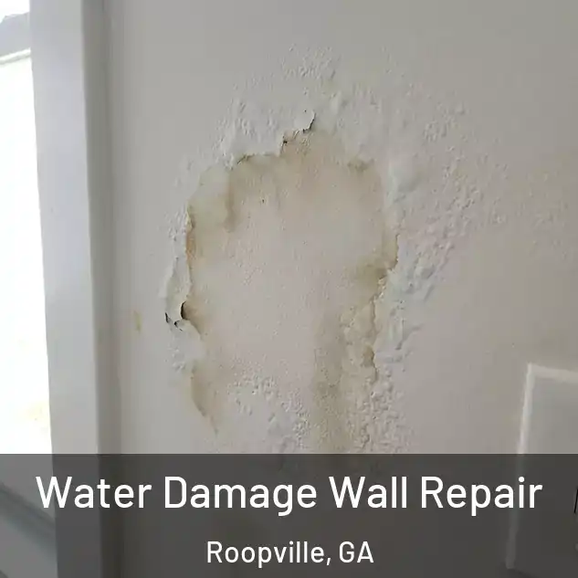  Water Damage Wall Repair Roopville, GA
