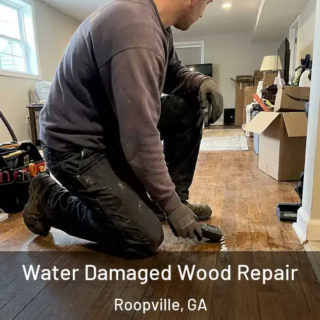  Water Damaged Wood Repair Roopville, GA