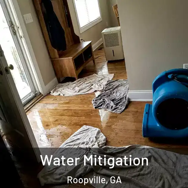  Water Mitigation Roopville, GA