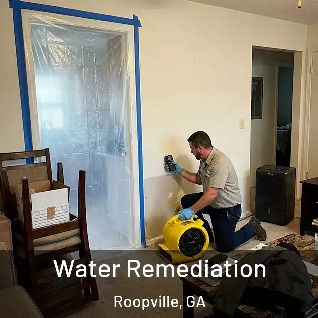  Water Remediation Roopville, GA
