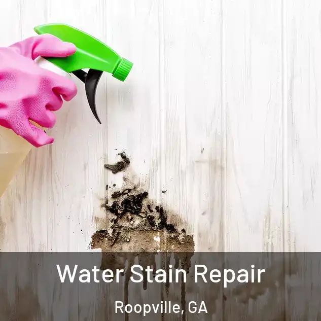  Water Stain Repair Roopville, GA