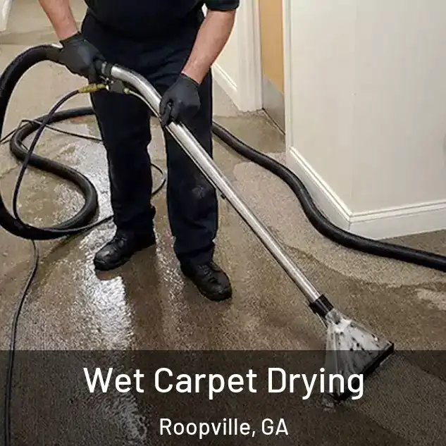  Wet Carpet Drying Roopville, GA
