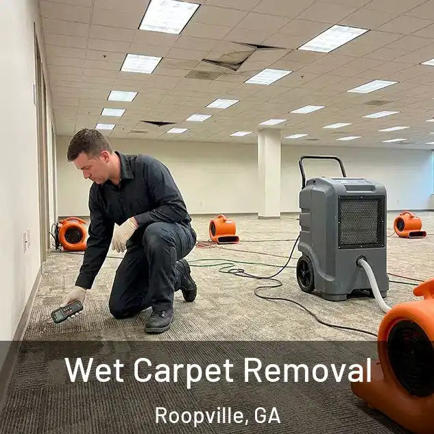  Wet Carpet Removal Roopville, GA